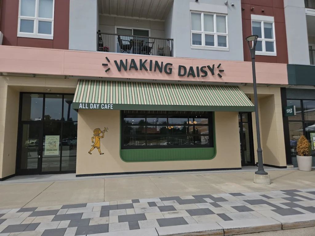 waking daisy