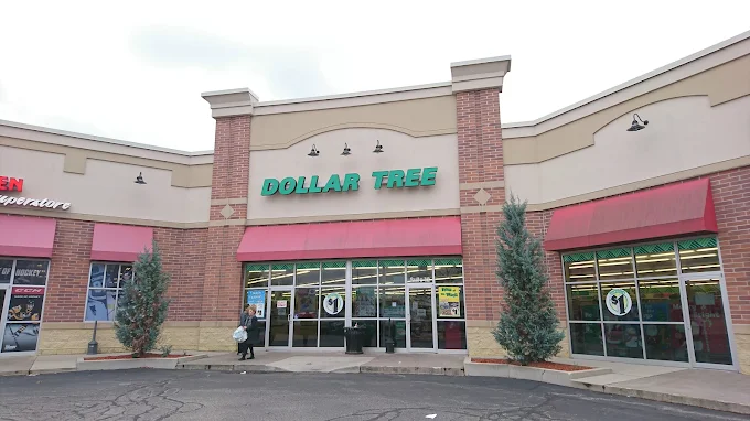 Dollar Tree Pic 1