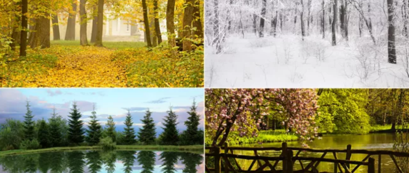 Brookfield season guide